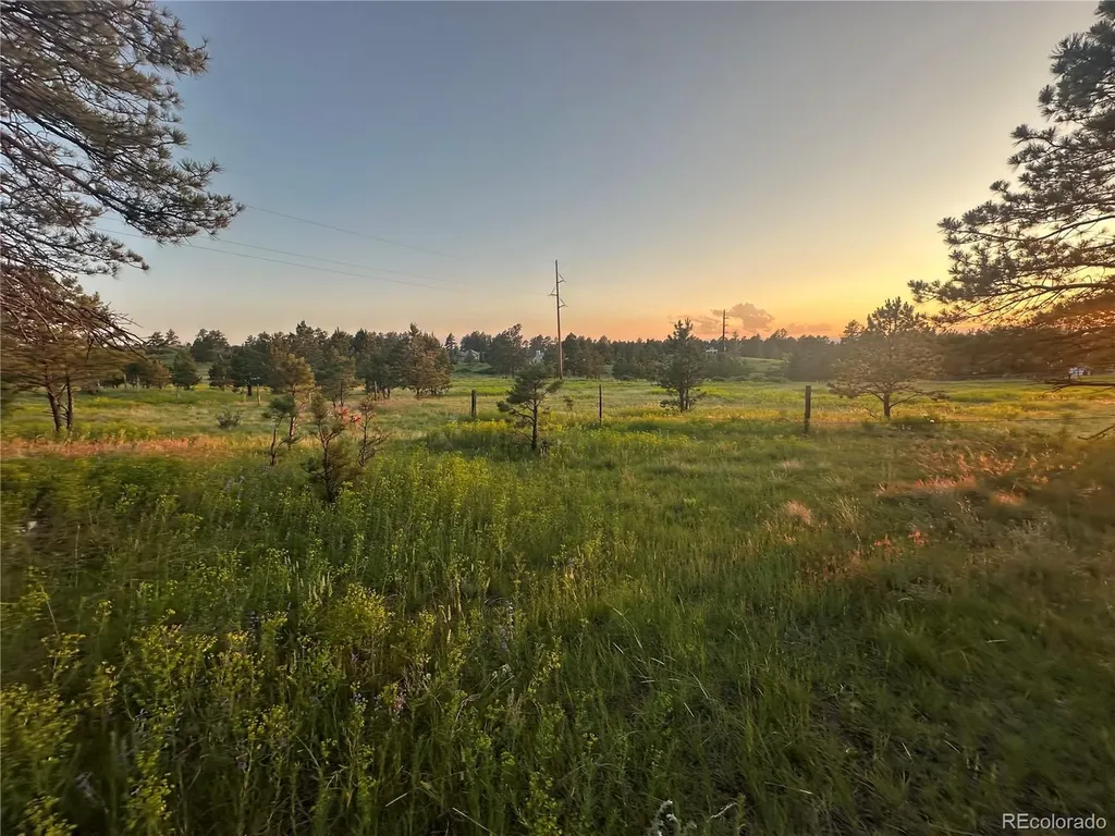 10421 Remmick Ridge Road Parker CO 80134