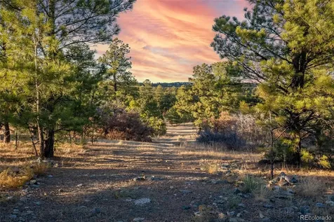10421 Remmick Ridge Road Parker CO 80134