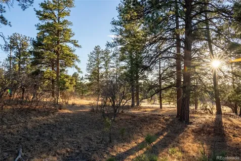 10421 Remmick Ridge Road Parker CO 80134
