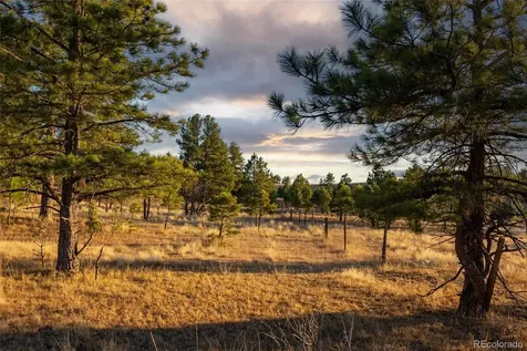 10421 Remmick Ridge Road Parker CO 80134