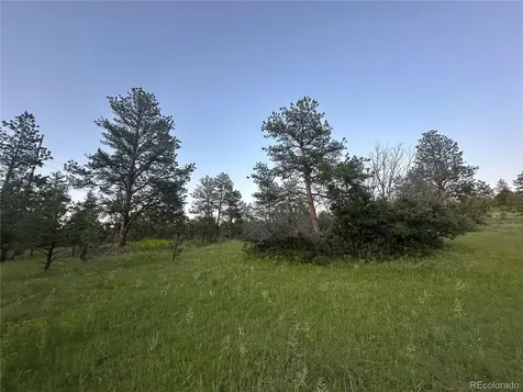 10421 Remmick Ridge Road Parker CO 80134