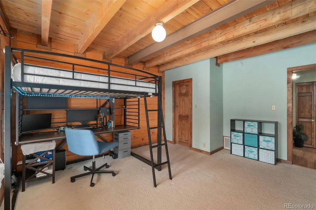 1084 Iron Mountain Drive Livermore CO 80536
