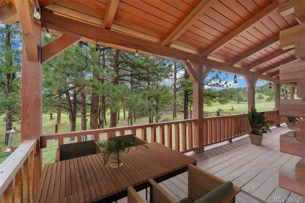 1084 Iron Mountain Drive Livermore CO 80536