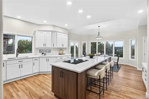 1247 Jesse Court Highlands Ranch CO 80126