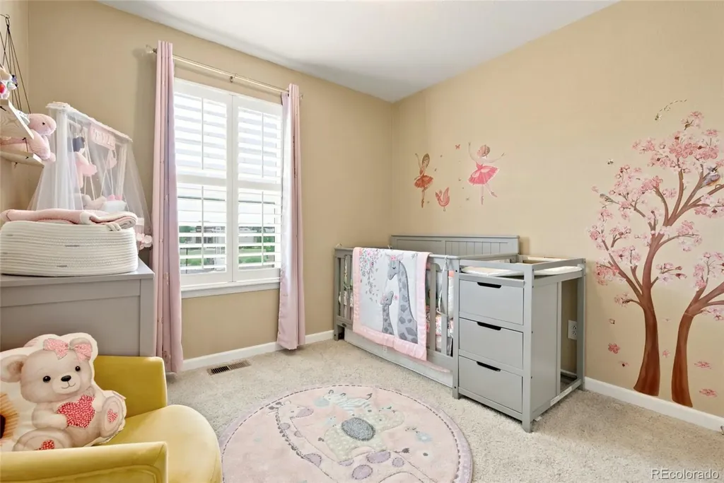 22861 E Briarwood Place Aurora CO 80016
