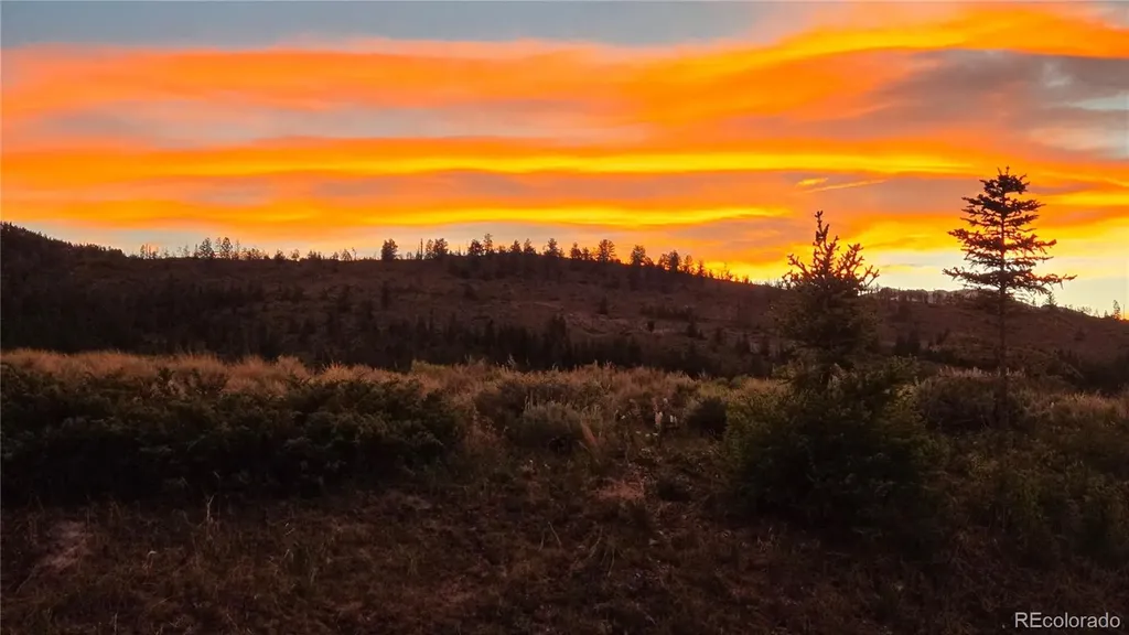 230 Telluride Court Dillon CO 80435