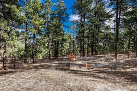 36424 Forest Trail Elizabeth CO 80107
