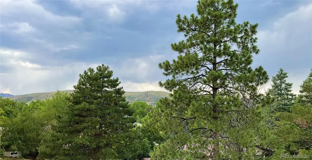 1221 S Ward Court Denver CO 80228