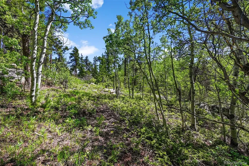 900 Rudi Lane Golden CO 80403