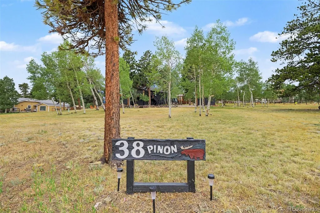 38 Pinon Road Bailey CO 80421
