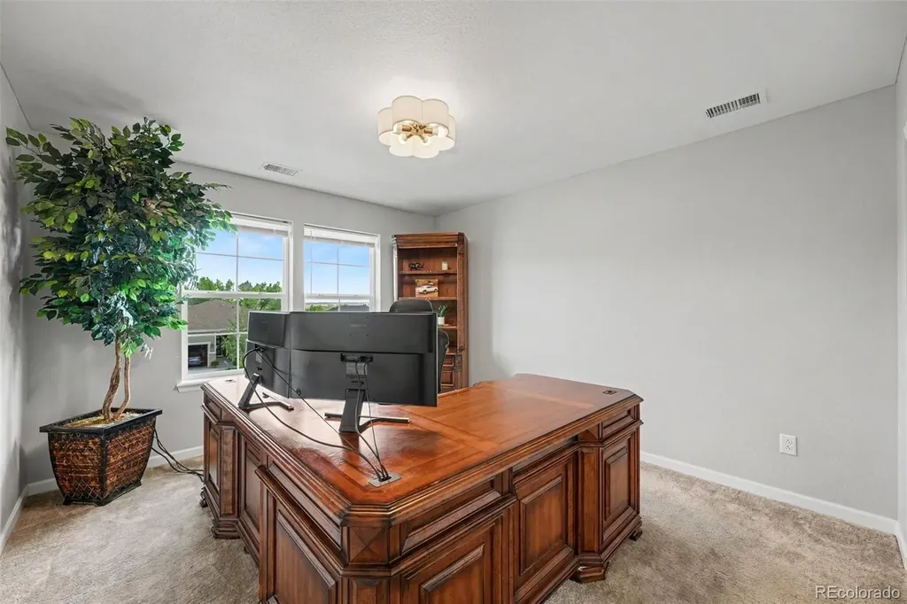 13041 Reata Ridge Drive Parker CO 80134