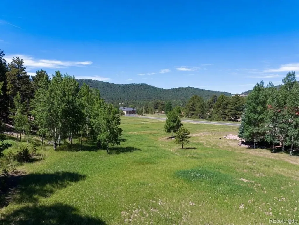 921 Heather Court Woodland Park CO 80863