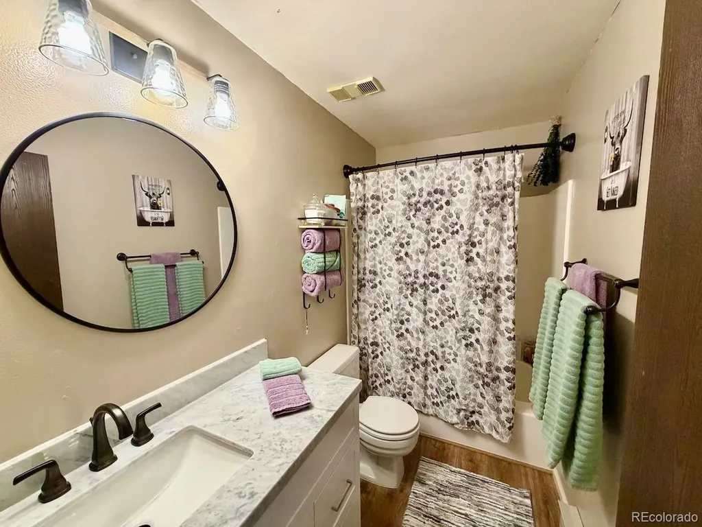 258 Cove Boulevard Dillon CO 80435