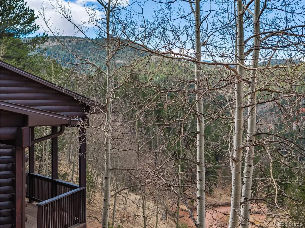 60 Beaver Pond Road Divide CO 80814