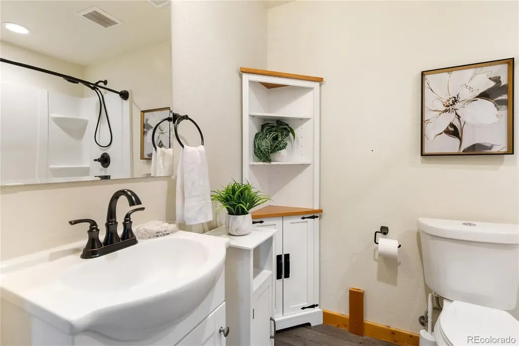 60 Beaver Pond Road Divide CO 80814