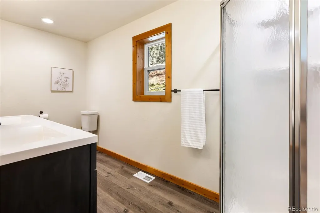 60 Beaver Pond Road Divide CO 80814