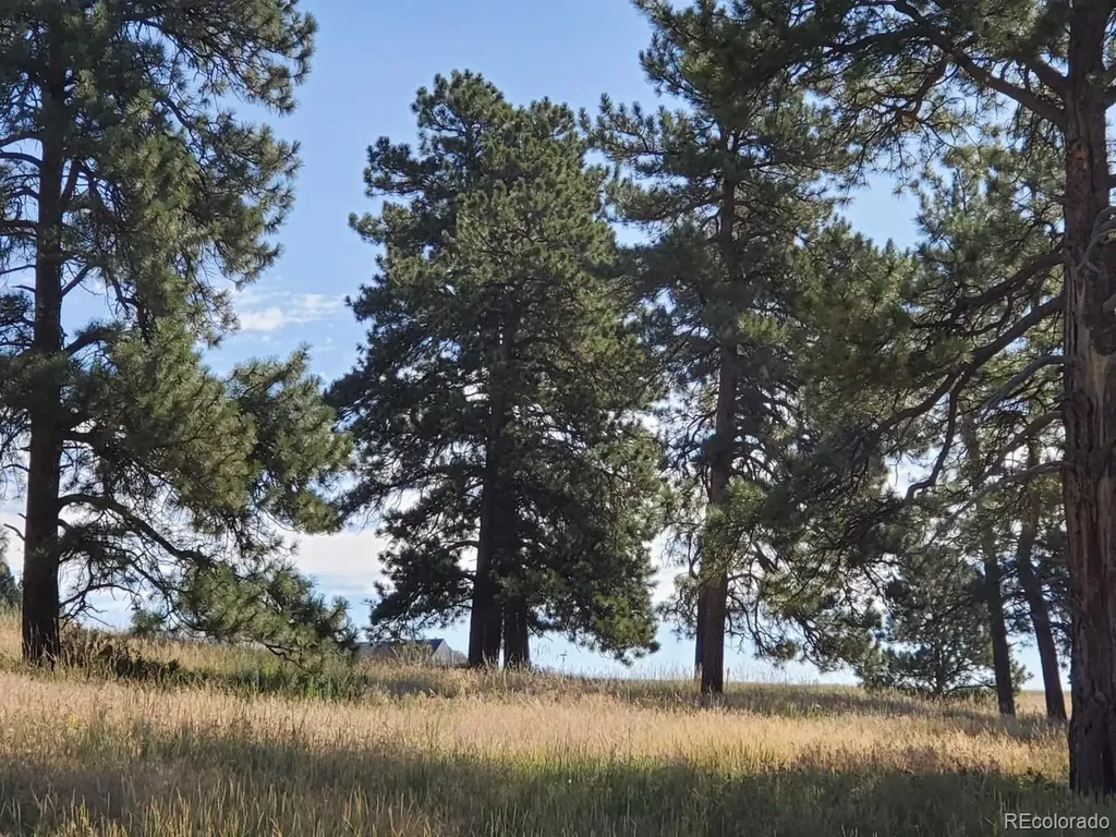 1 Forest Rim Aurora CO 80016