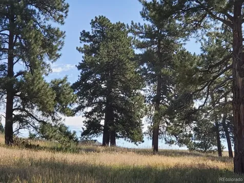 1 Forest Rim Aurora CO 80016
