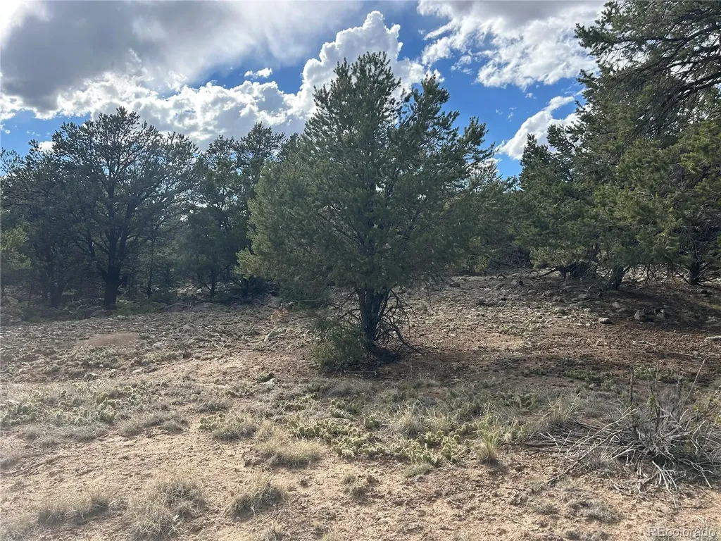 1661 Willow Creek Way Crestone CO 81131