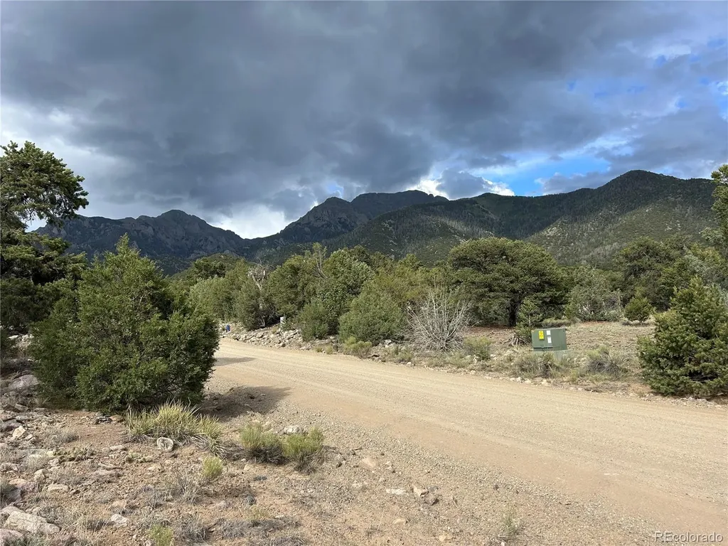 1661 Willow Creek Way Crestone CO 81131