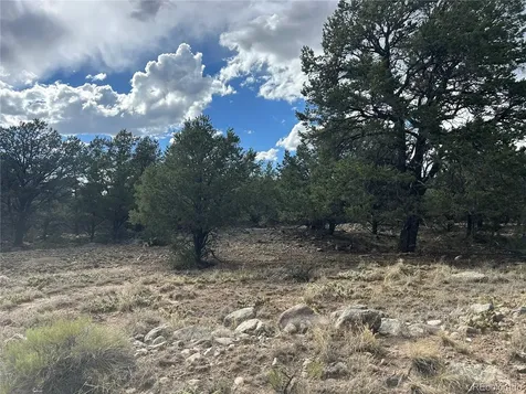 1661 Willow Creek Way Crestone CO 81131