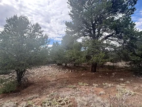 1661 Willow Creek Way Crestone CO 81131
