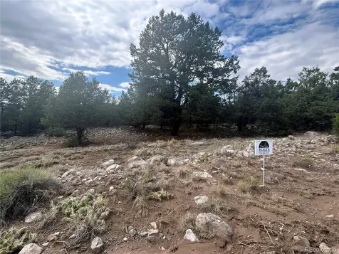 1661 Willow Creek Way Crestone CO 81131