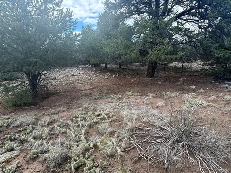 1661 Willow Creek Way Crestone CO 81131