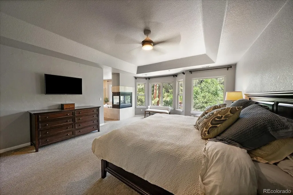 492 Tolland Drive Castle Rock CO 80108