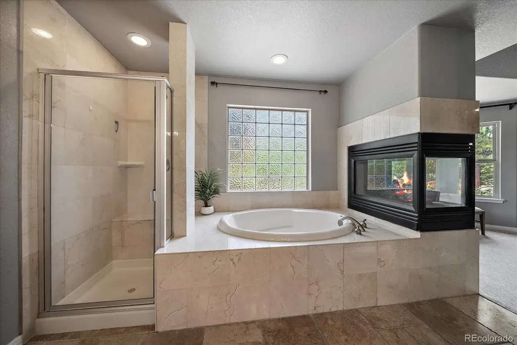 492 Tolland Drive Castle Rock CO 80108