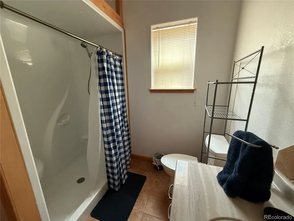 217 Greaves Lane Fort Garland CO 81133