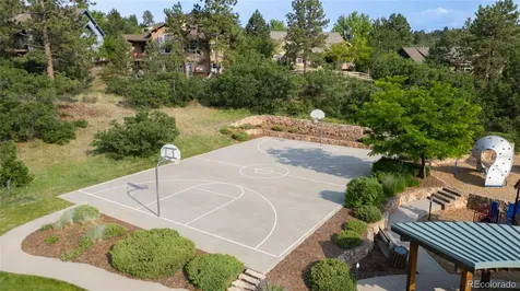 1394 Black Pine Court Castle Rock CO 80104