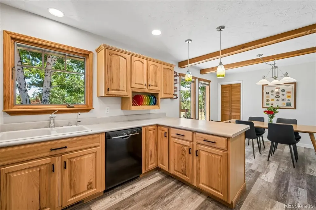 13258 S Mohawk Street Pine CO 80470