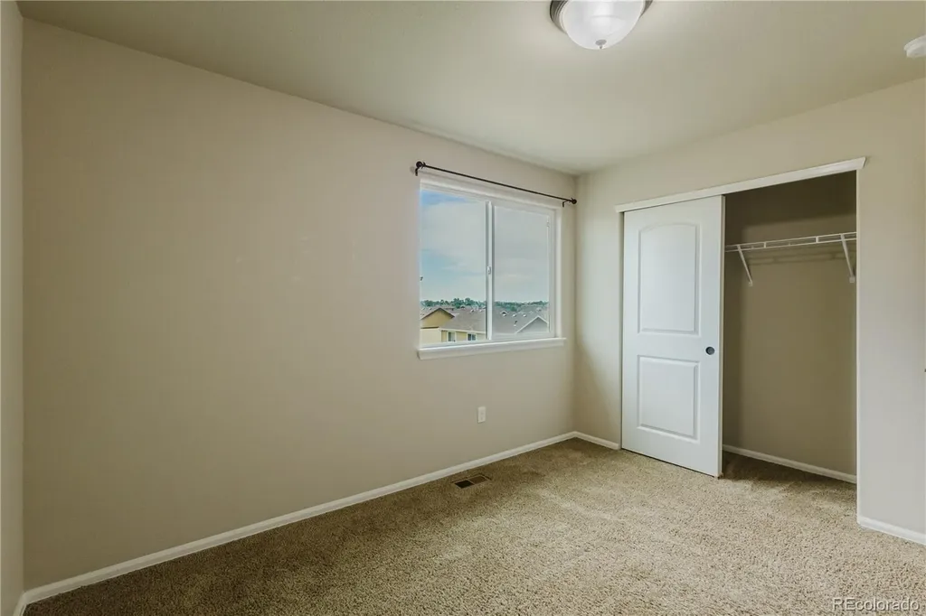 1019 Mount Oxford Avenue Windsor CO 80550