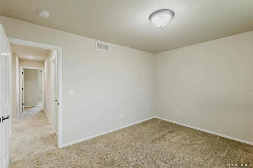 1019 Mt Oxford Avenue Windsor CO 80550