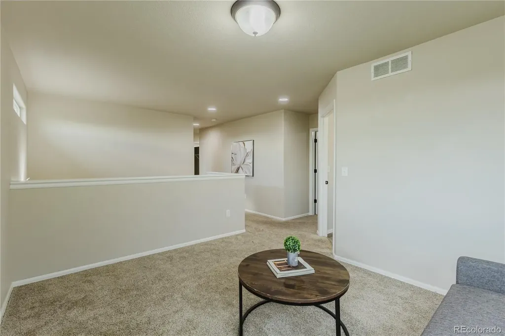 1019 Mt Oxford Avenue Windsor CO 80550