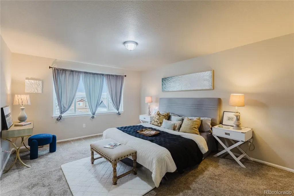 1019 Mt Oxford Avenue Windsor CO 80550