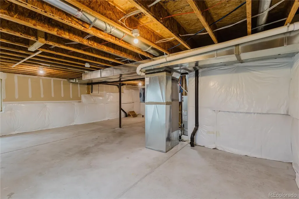 1019 Mt Oxford Avenue Windsor CO 80550