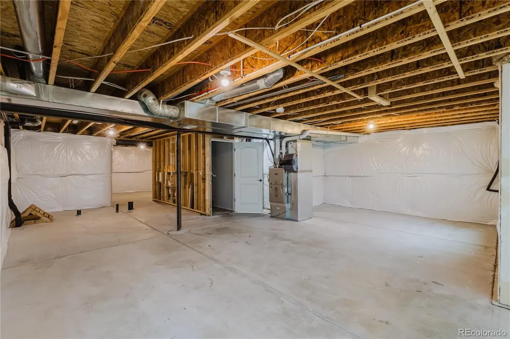 1019 Mount Oxford Avenue Windsor CO 80550