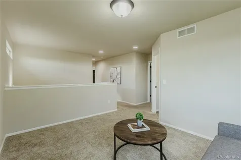 1019 Mount Oxford Avenue Windsor CO 80550