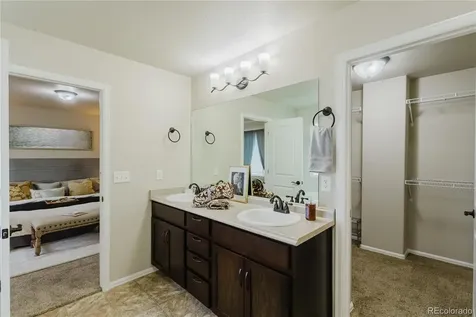 1019 Mount Oxford Avenue Windsor CO 80550