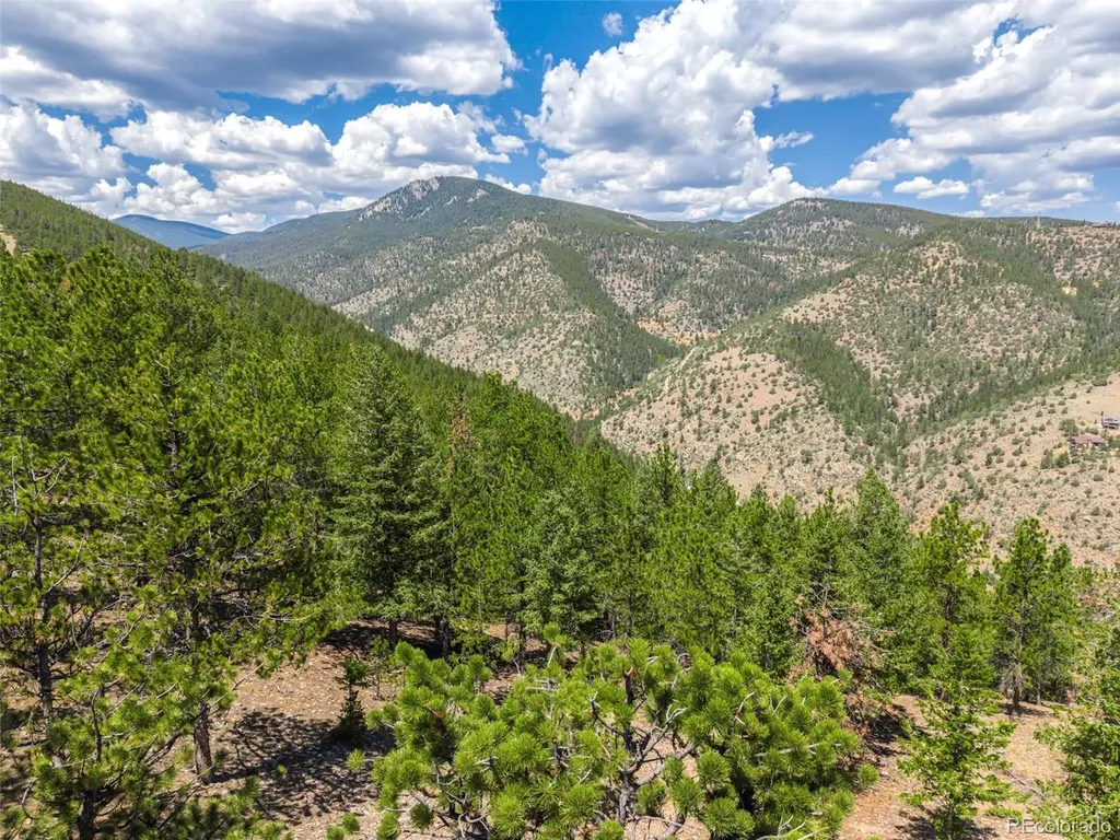 601 Old Glory Road Idaho Springs CO 80452