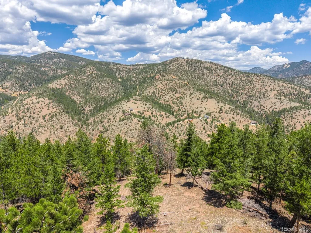 601 Old Glory Road Idaho Springs CO 80452