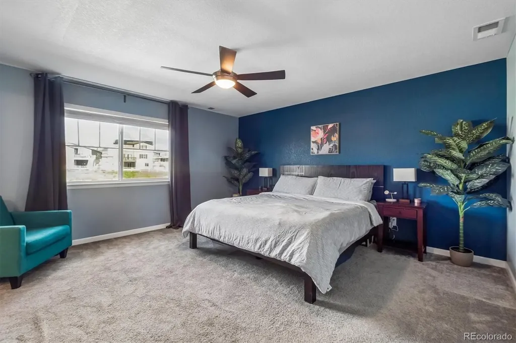 5215 Ditmars Trail Castle Rock CO 80104