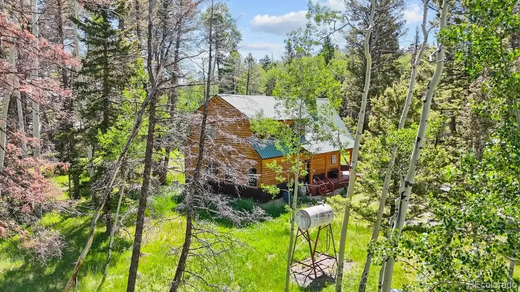 1380 Spruce Road Cimarron CO 81220