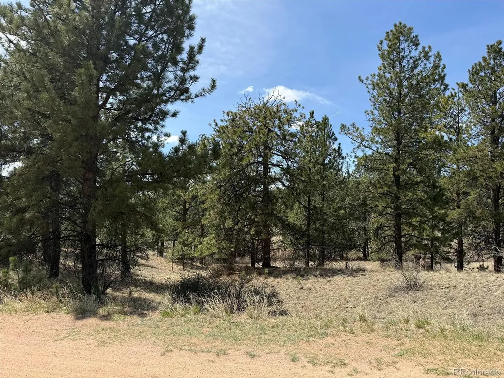 99 Cheyenne Way Florissant CO 80816