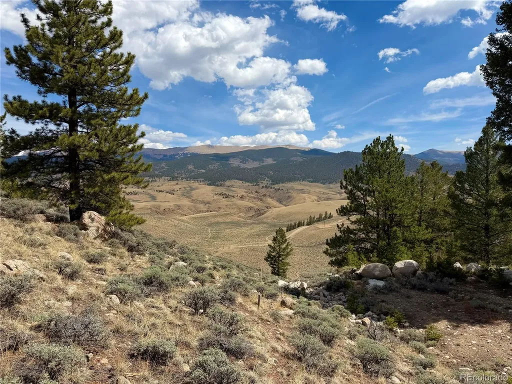 98 Northview Drive Twin Lakes CO 81251