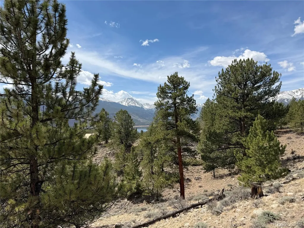 98 Northview Drive Twin Lakes CO 81251