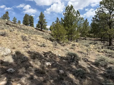 98 Northview Drive Twin Lakes CO 81251