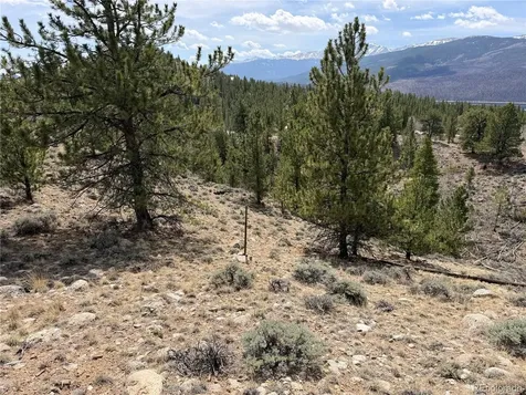 98 Northview Drive Twin Lakes CO 81251